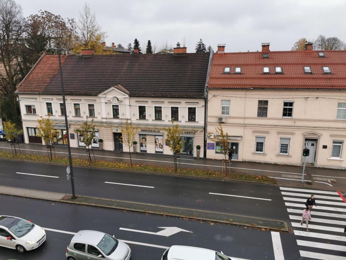 Apartment Trzaska With Free Parking Любляна Экстерьер фото